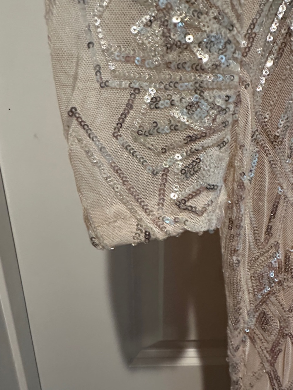 Baltic Born Long-Sleeve Sequin Gown in Nude (soieblu) - Picture 5 of 8